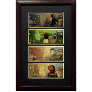 Ducks Unlimited 100mg Mallard, Northern Pintail, American Black & Redhead Gold 4 Note Set with Frame