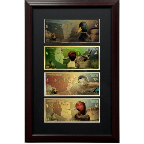 Ducks Unlimited 100mg Mallard, Northern Pintail, American Black & Redhead Gold 4 Note Set with Frame