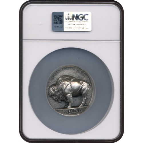 2026 Beyond Relief 5oz Silver Buffalo Nickel Oglala Lakota Sioux Nation NGC MS70 FDOI Antiqued - Image 2